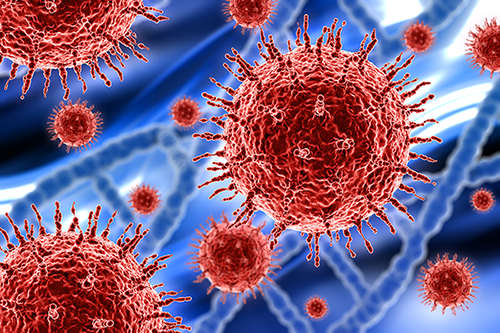 encephalite-shb-virus