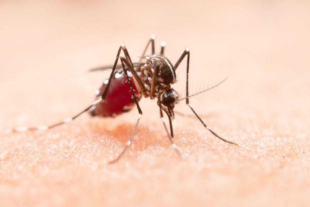 campagne de vaccination contre le paludisme